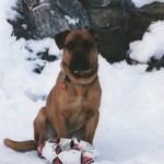 grom's soccer ball 1995